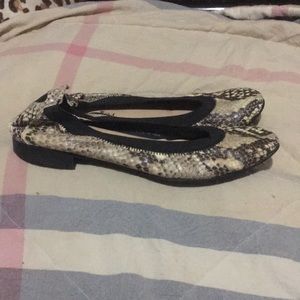 Ferca 81 Italy 🇮🇹